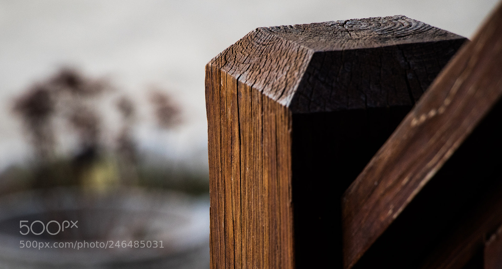 Canon EOS 7D Mark II sample photo. Wooden post photography