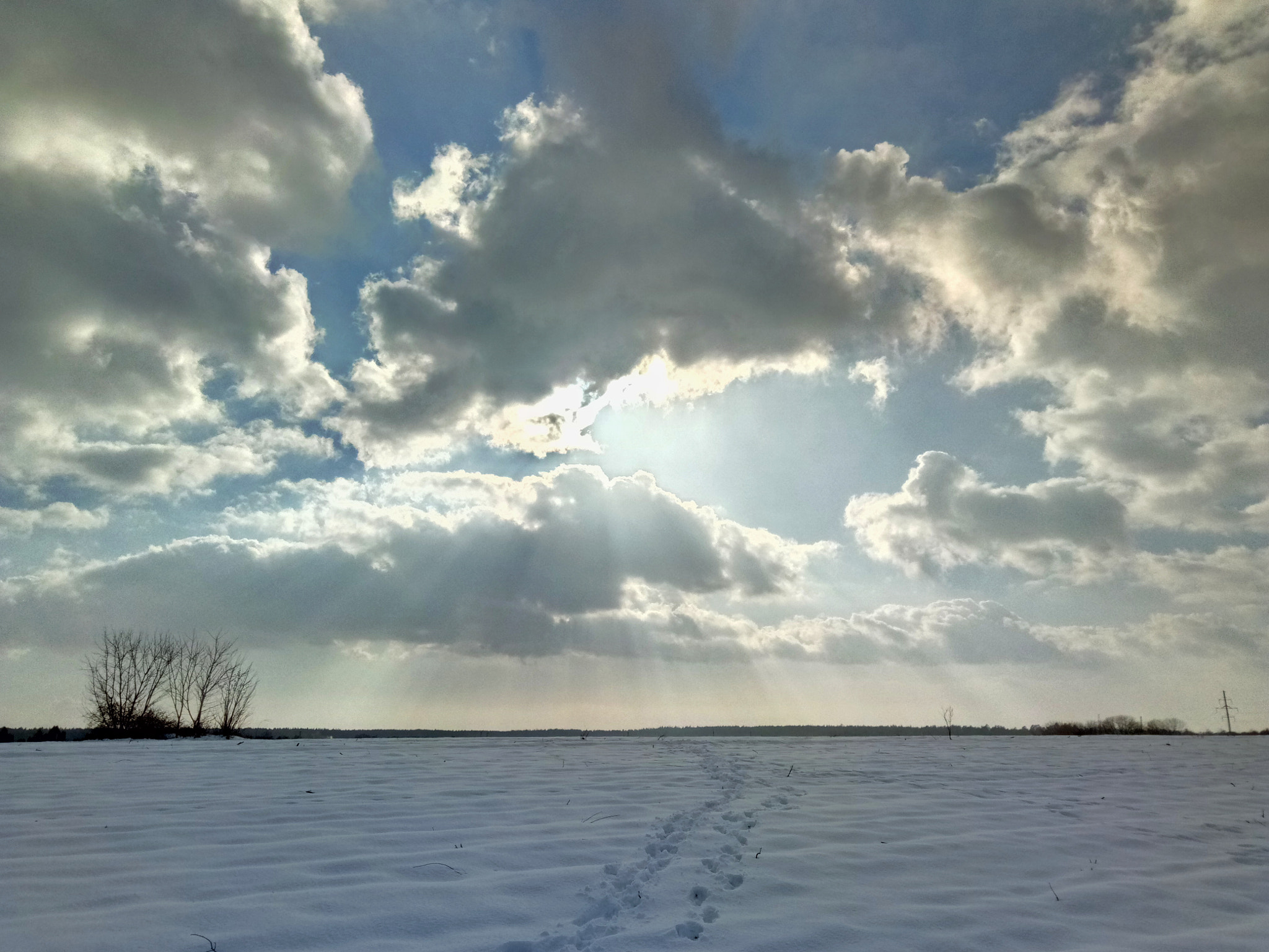 Meizu U20 sample photo