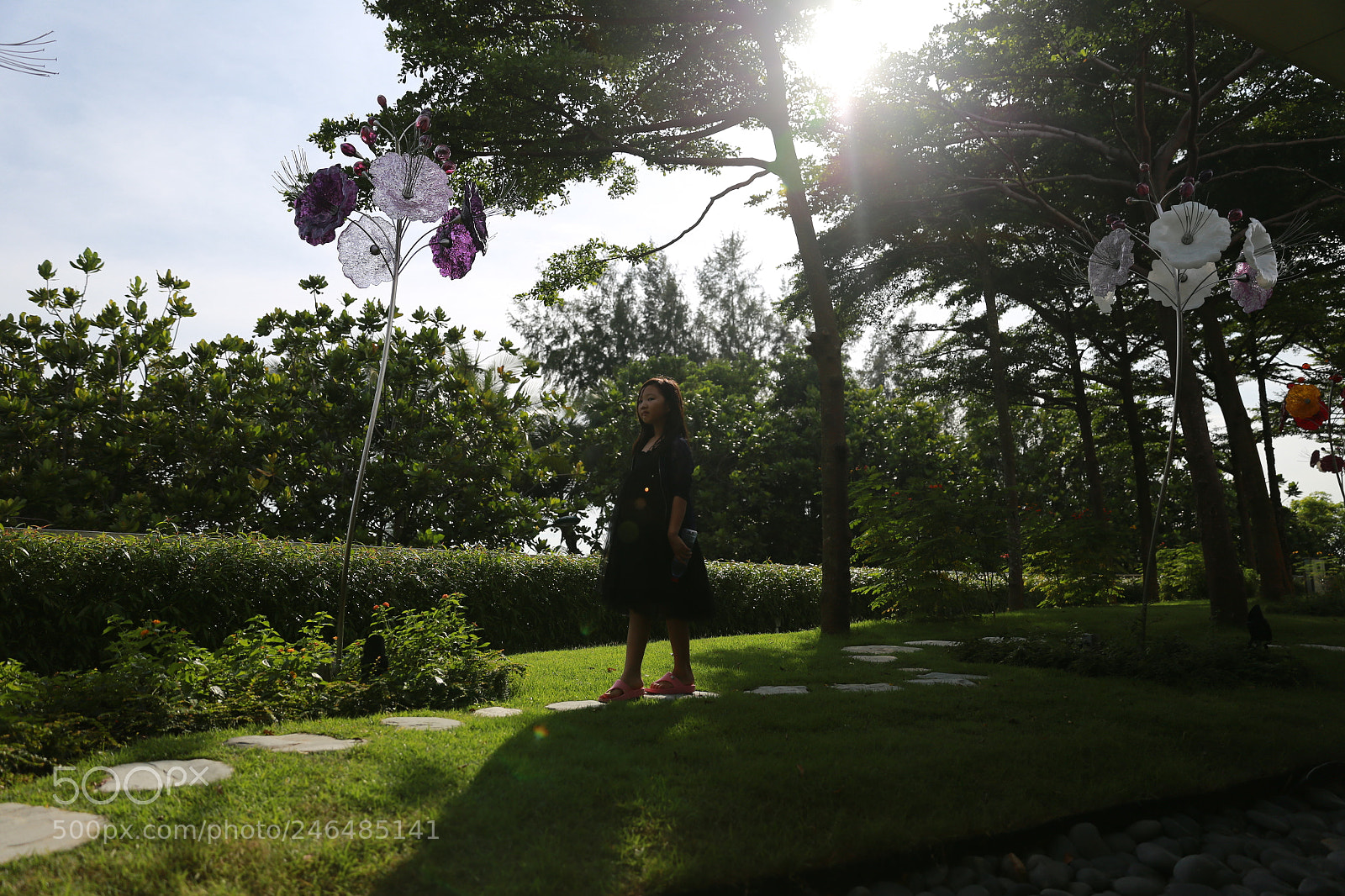Canon EF 24-70mm F2.8L II USM sample photo. Untitled photography
