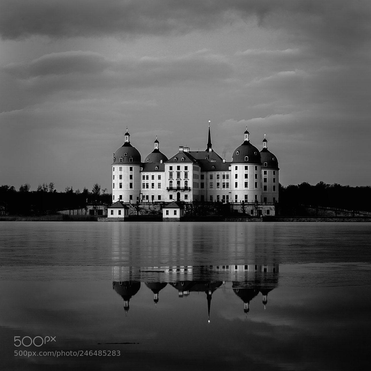 Pentax K-1 sample photo. Morning in moritzburg photography