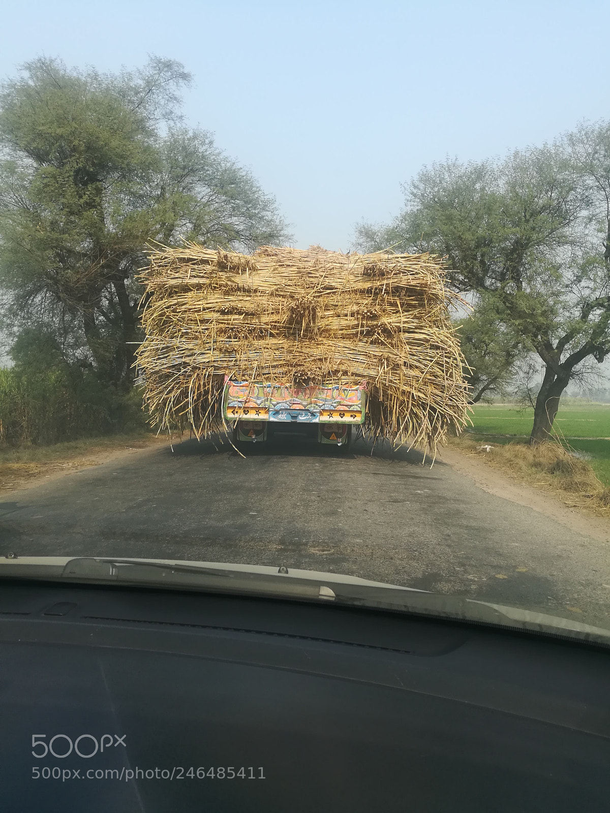 HUAWEI honor 6x sample photo. Sugarcane trolly. pakistan photography
