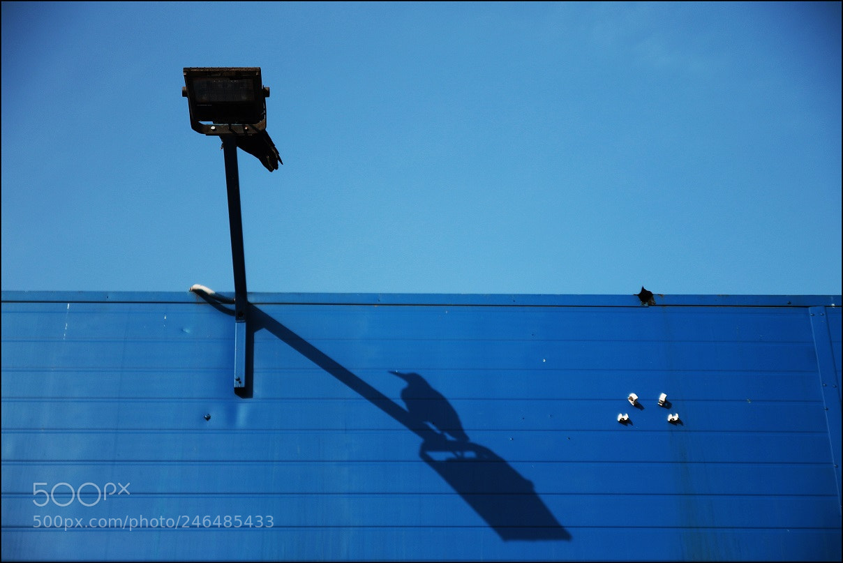 Canon EOS 7D Mark II sample photo. Untitled photography