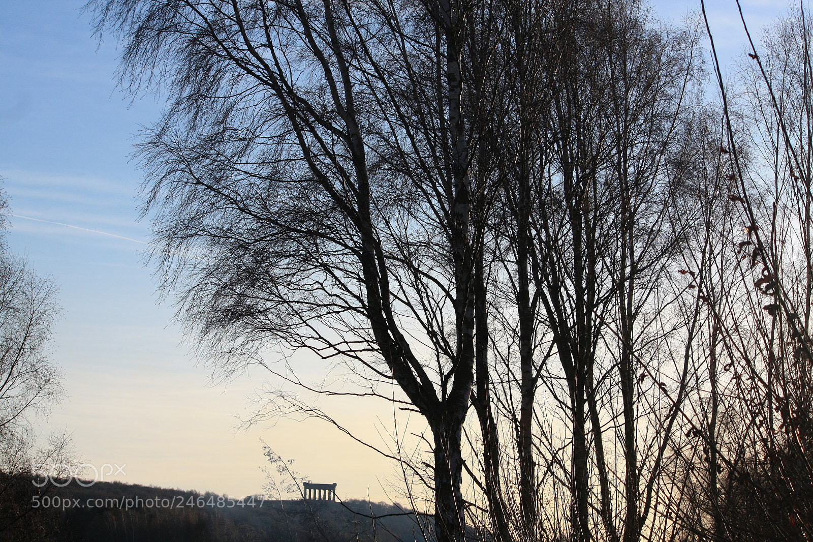 Canon EOS 450D (EOS Rebel XSi / EOS Kiss X2) sample photo. Penshaw monument from afar photography
