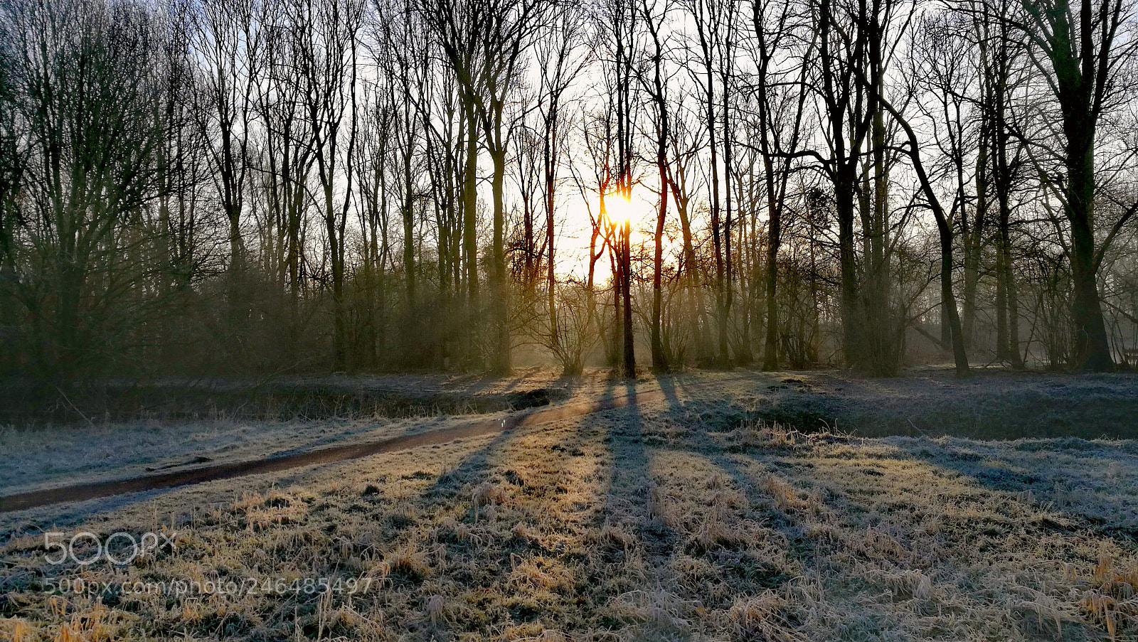 HUAWEI Honor 8 sample photo. Sunday morning 08:30am photography