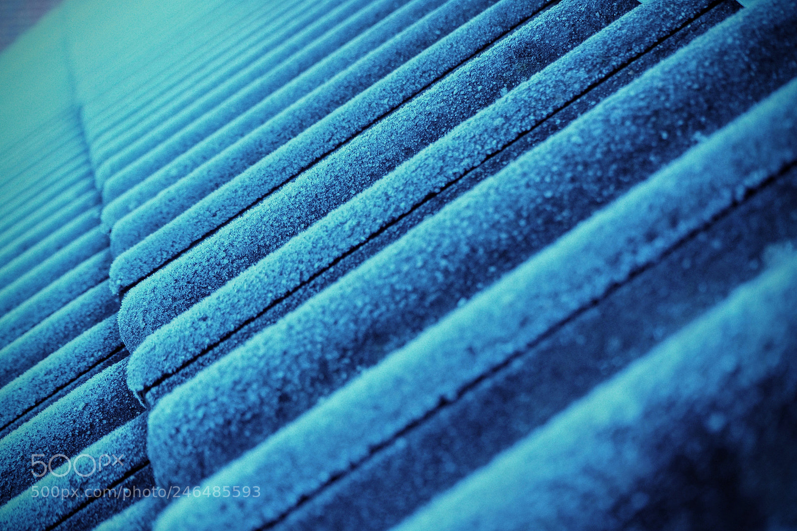 Olympus OM-D E-M10 II sample photo. Winter rooftop photography