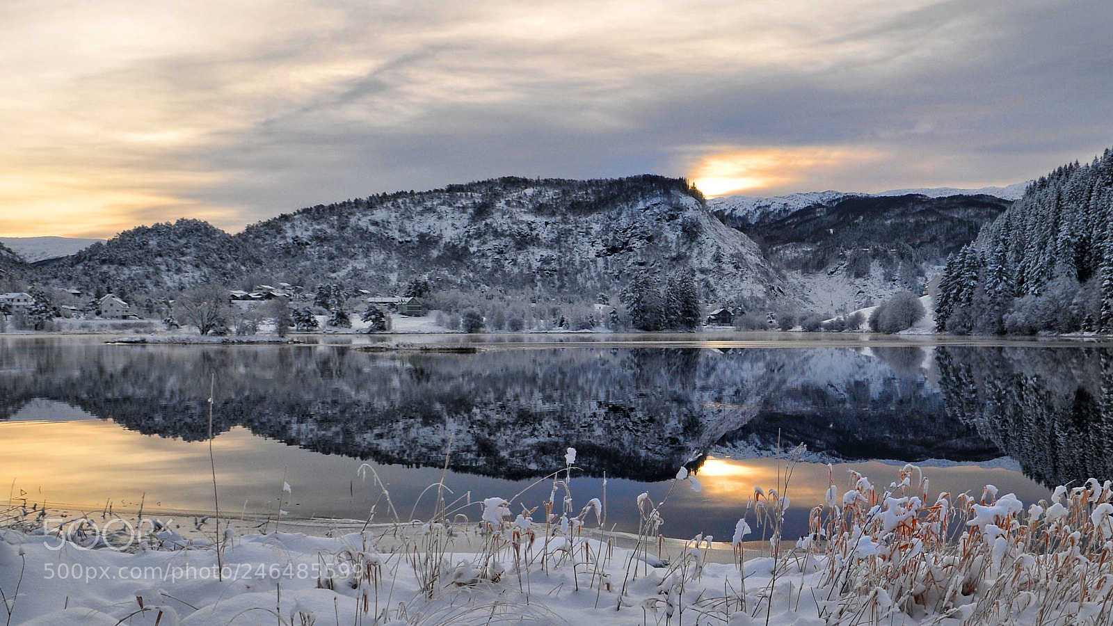 Nikon D300 sample photo. Winterlight photography