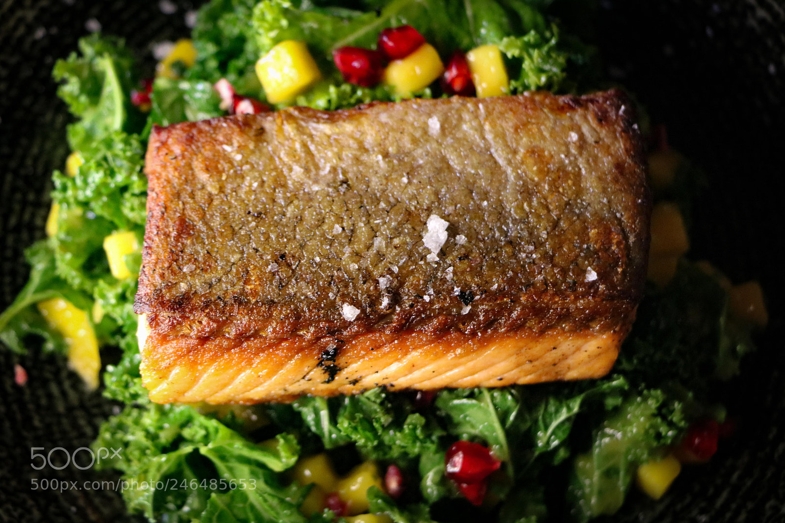 Canon EOS 750D (EOS Rebel T6i / EOS Kiss X8i) sample photo. Fishy photography