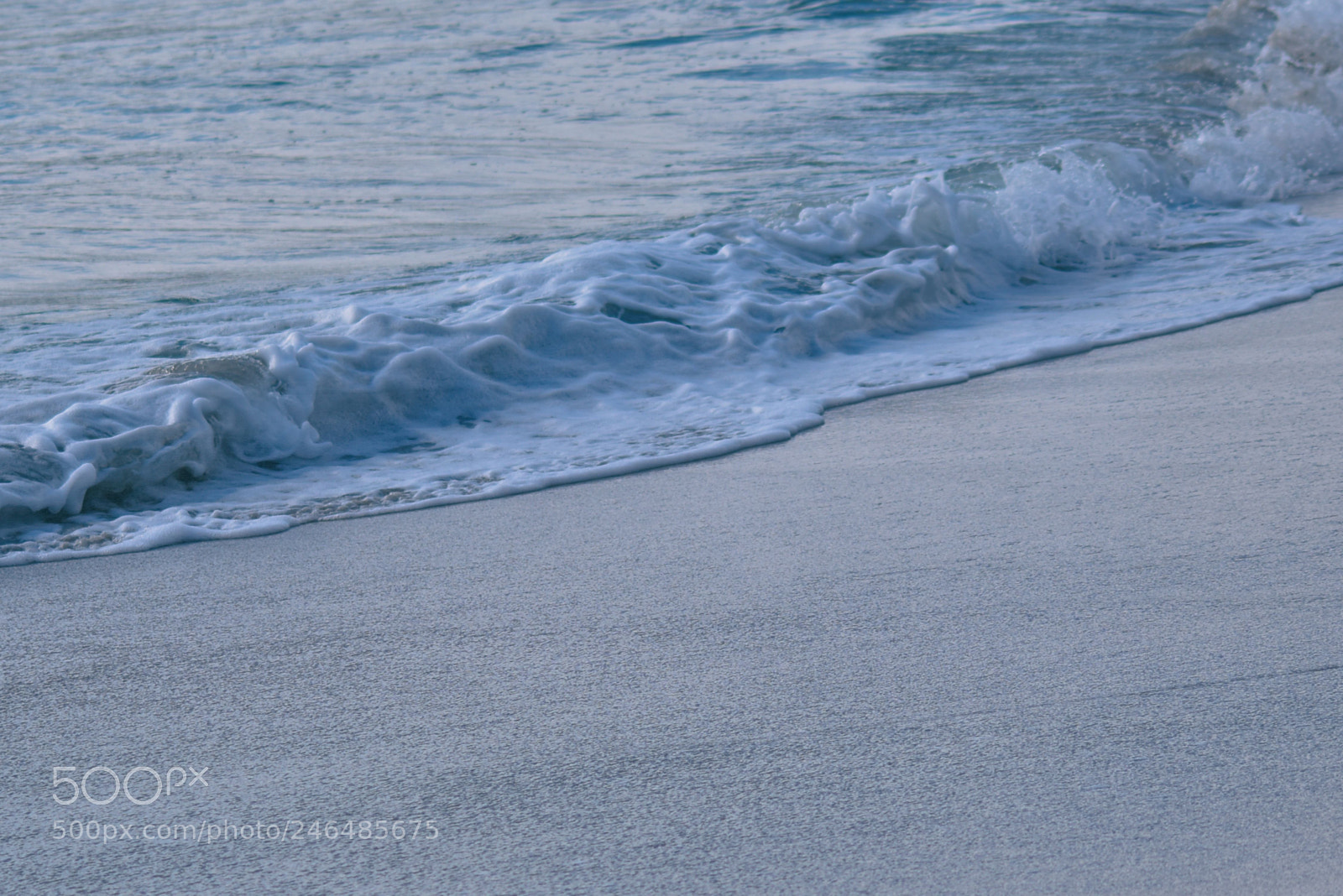 Nikon D5600 sample photo. Waved photography