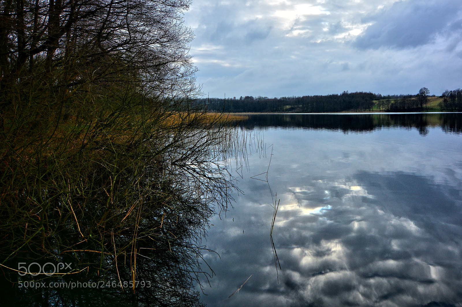 Nikon D7100 sample photo. Rydzewo photography