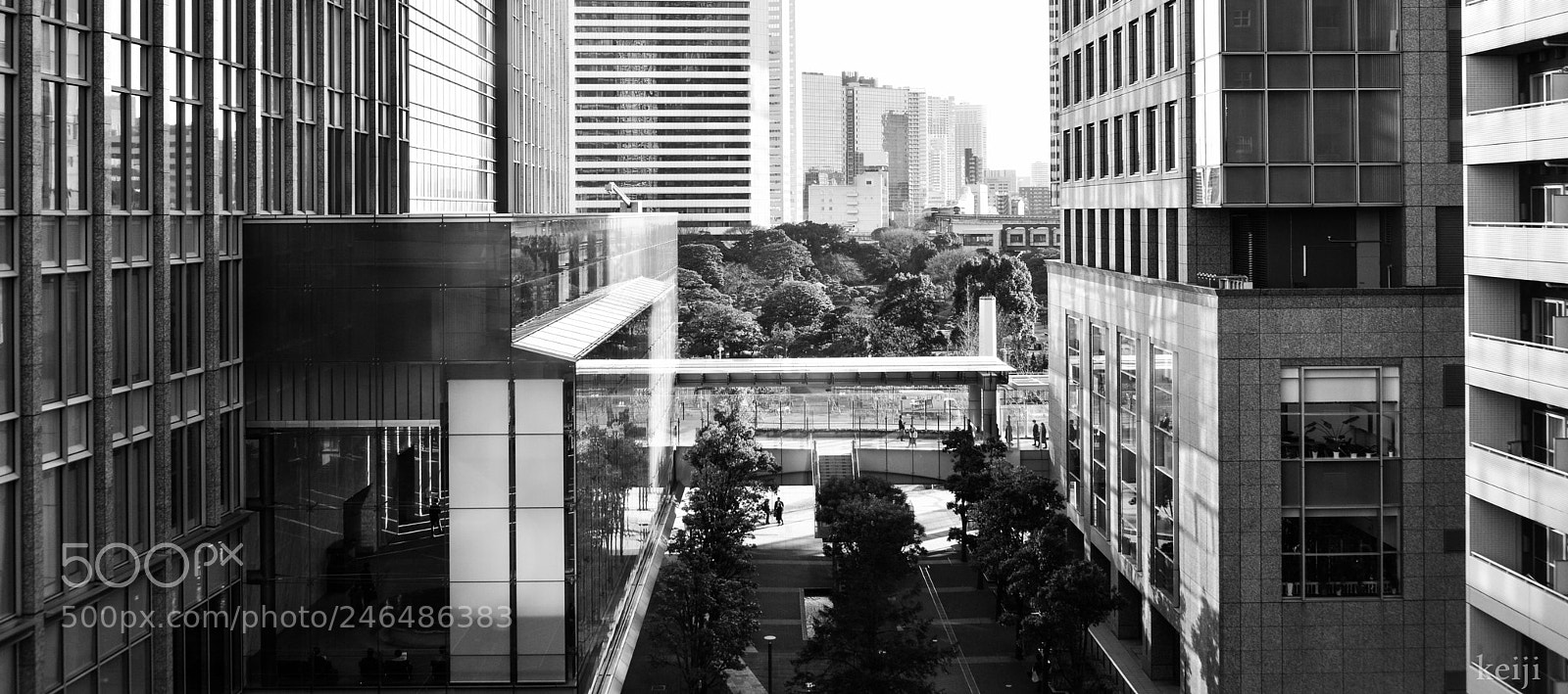 Nikon D610 sample photo. Untitled photography