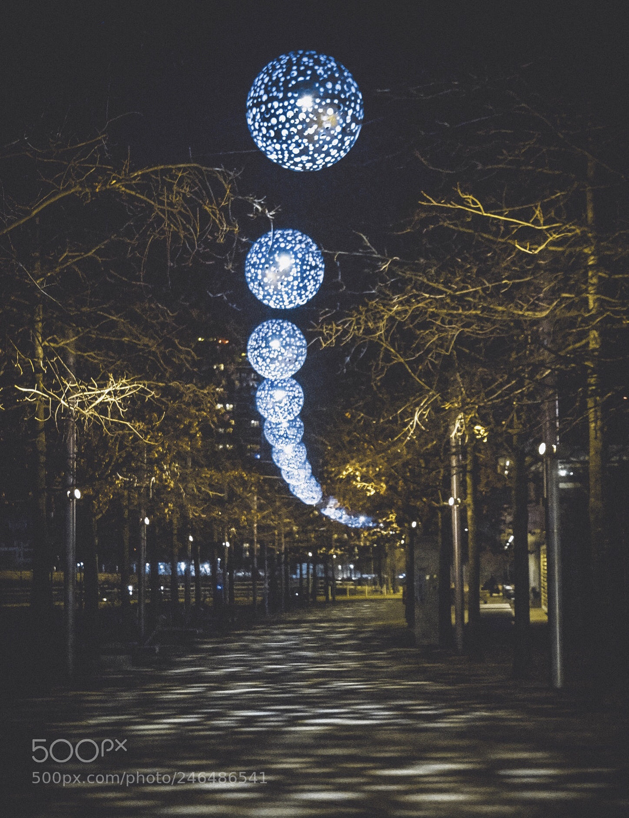 Nikon D7200 sample photo. No name photography
