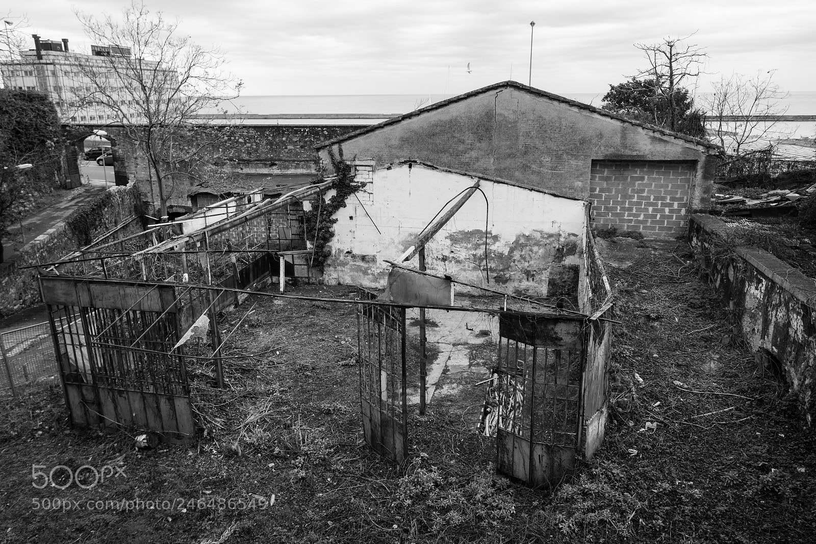 Canon EOS 60D sample photo. Genova photography