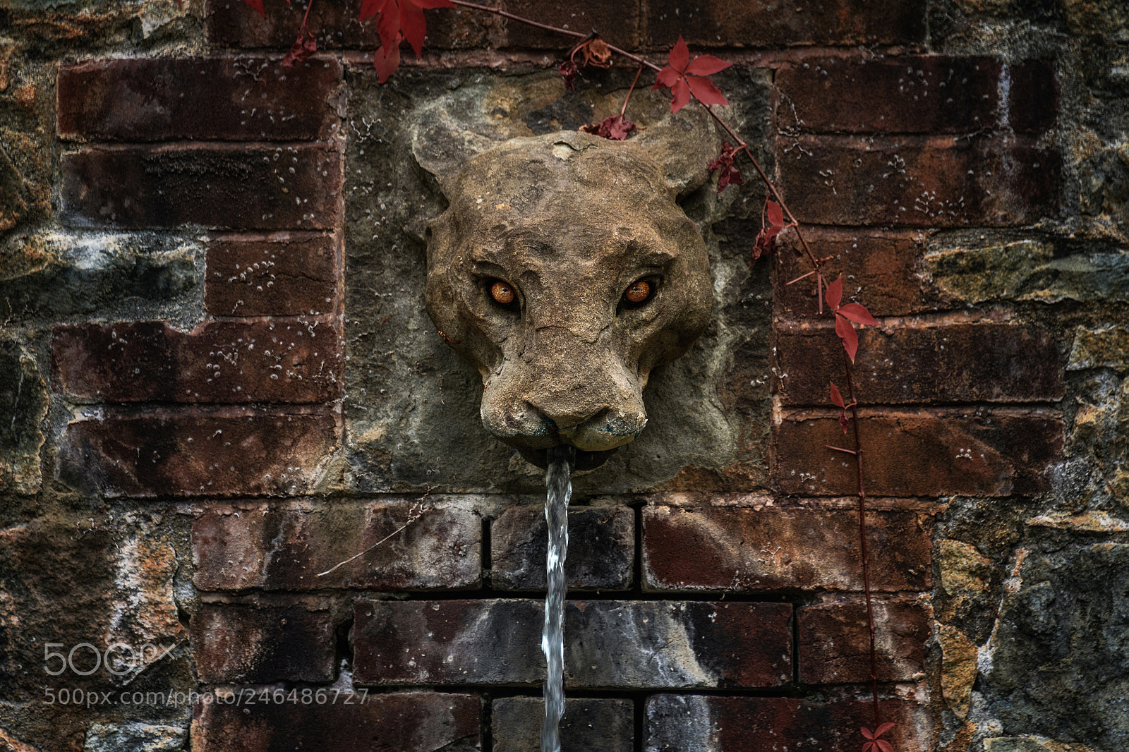 Nikon D5 sample photo. Lion fountain photography