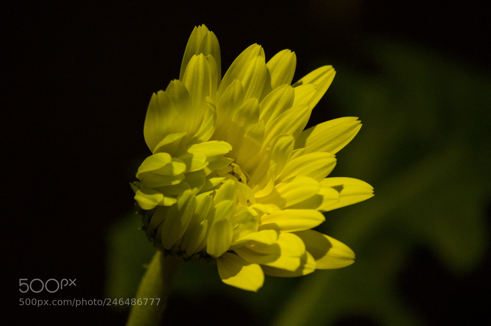 Pentax K-3 sample photo. Agri photography