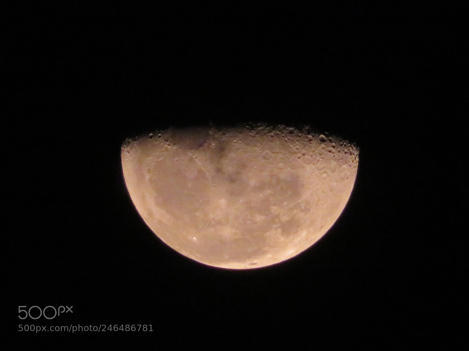 Canon PowerShot SX720 HS sample photo. Untitled photography