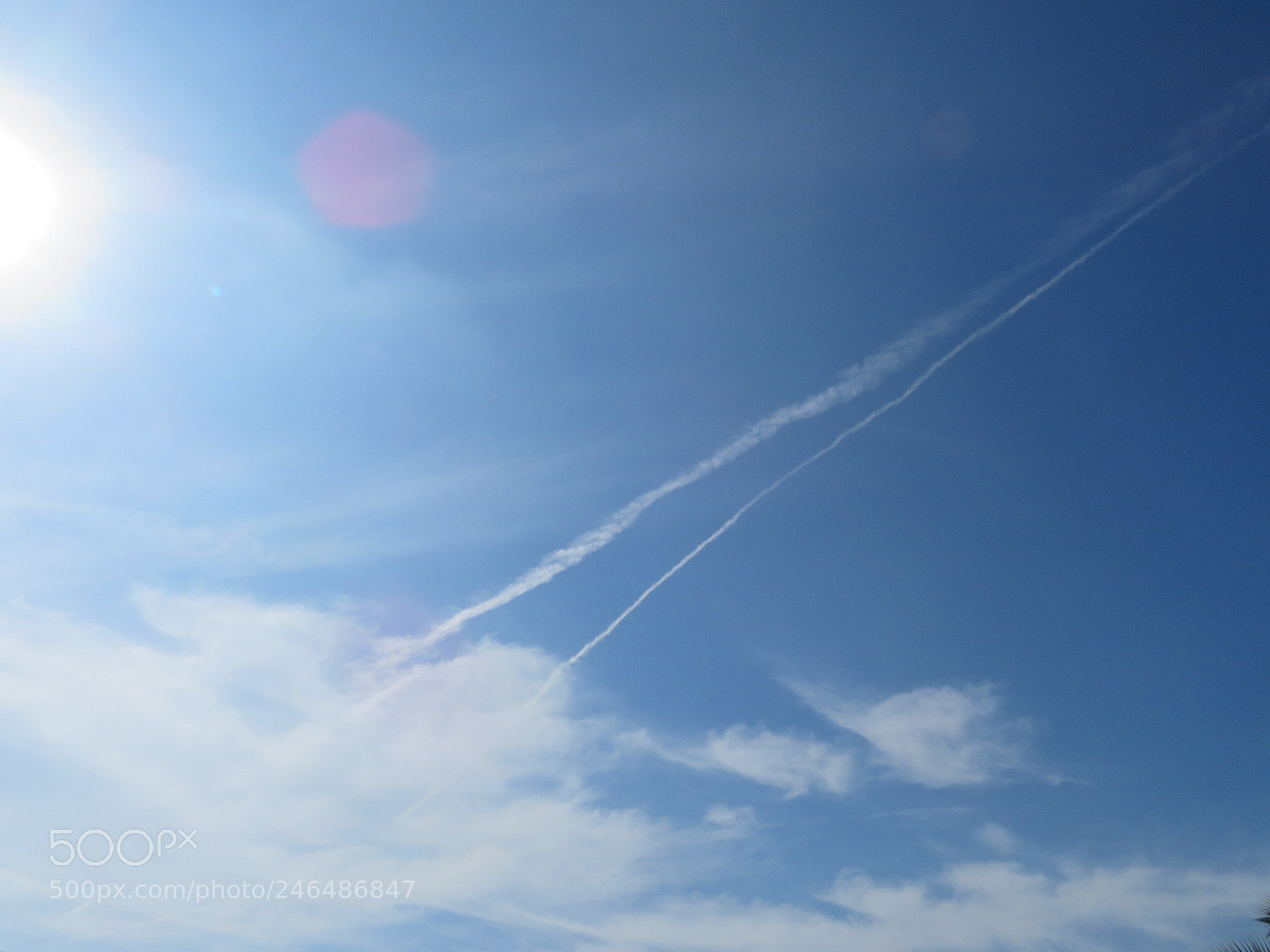 Canon PowerShot SX720 HS sample photo. Untitled photography