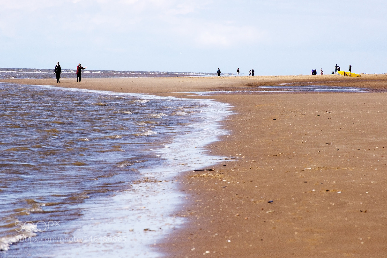 Nikon D600 sample photo. Pointing or waving? (1) photography