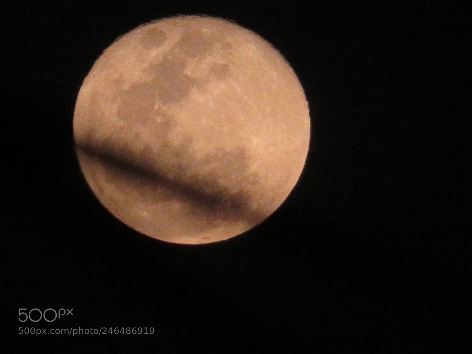 Canon PowerShot SX720 HS sample photo. Untitled photography