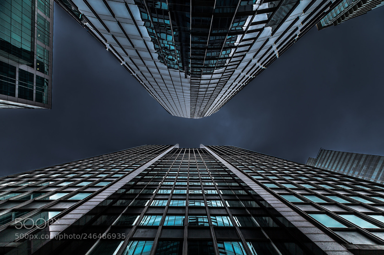 Canon EOS-1D X sample photo. Vancouver xi photography