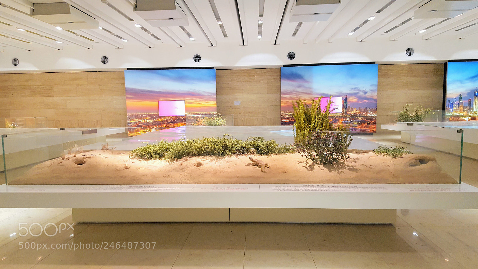 Samsung Galaxy S6 sample photo. The habitat museum photography