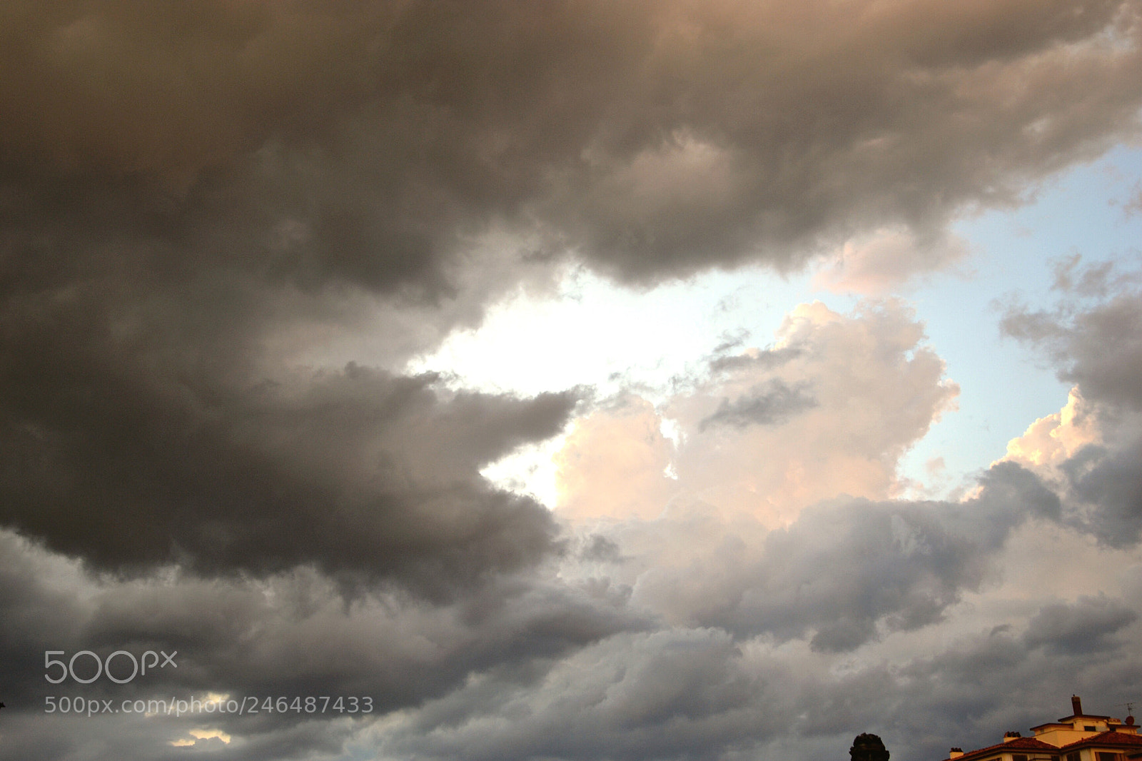 Nikon D3100 sample photo. Untitled photography