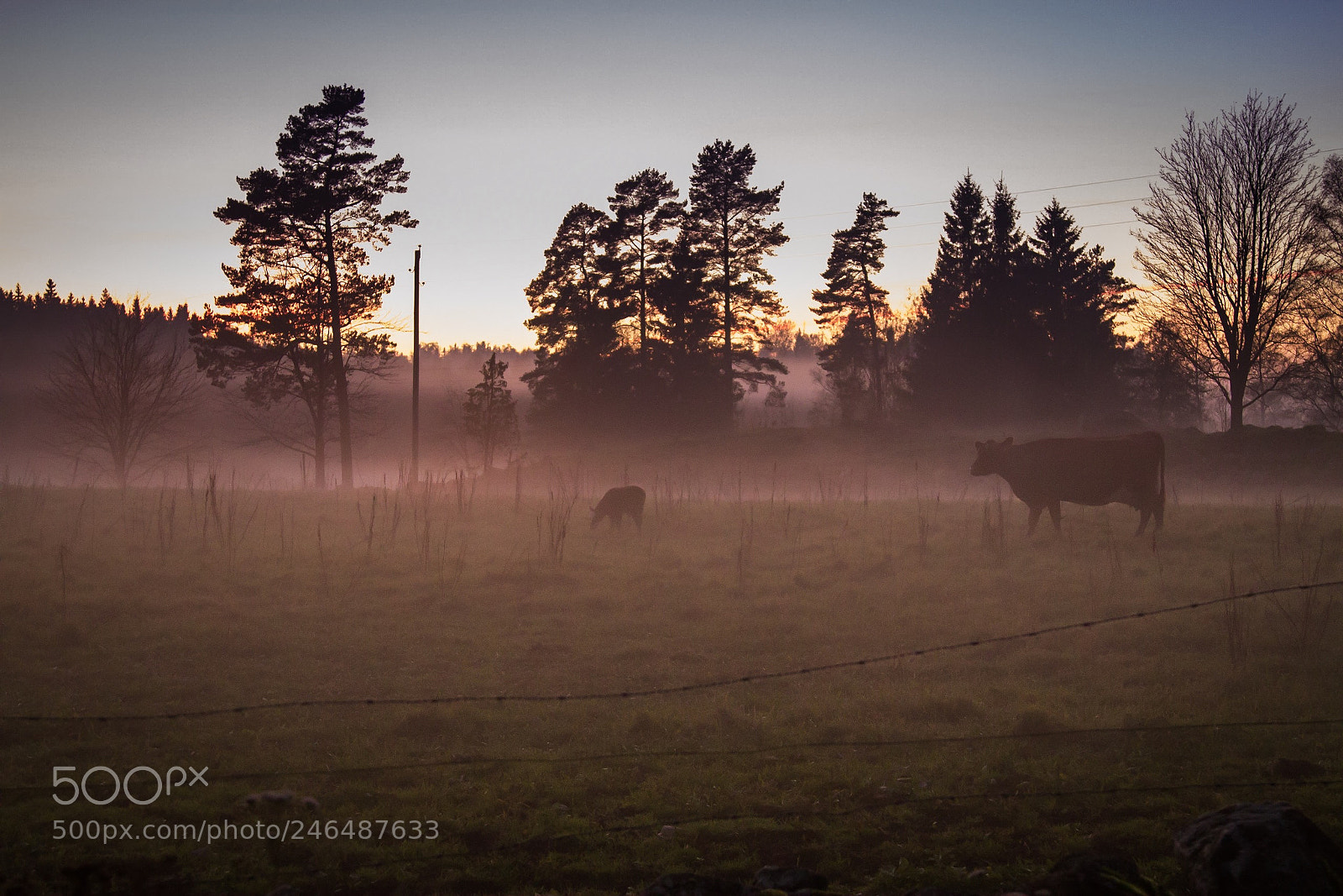 Canon EOS 7D sample photo. Landsbygden, countryside photography