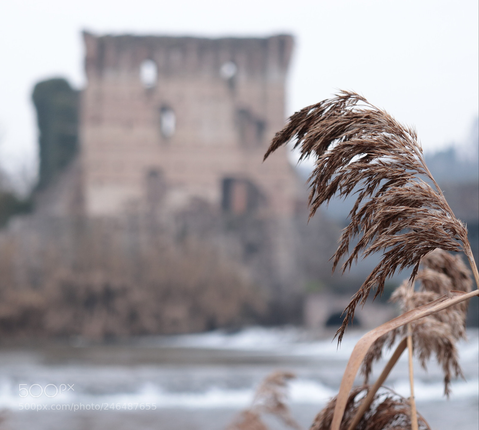 Canon EOS 77D (EOS 9000D / EOS 770D) sample photo. Untitled photography