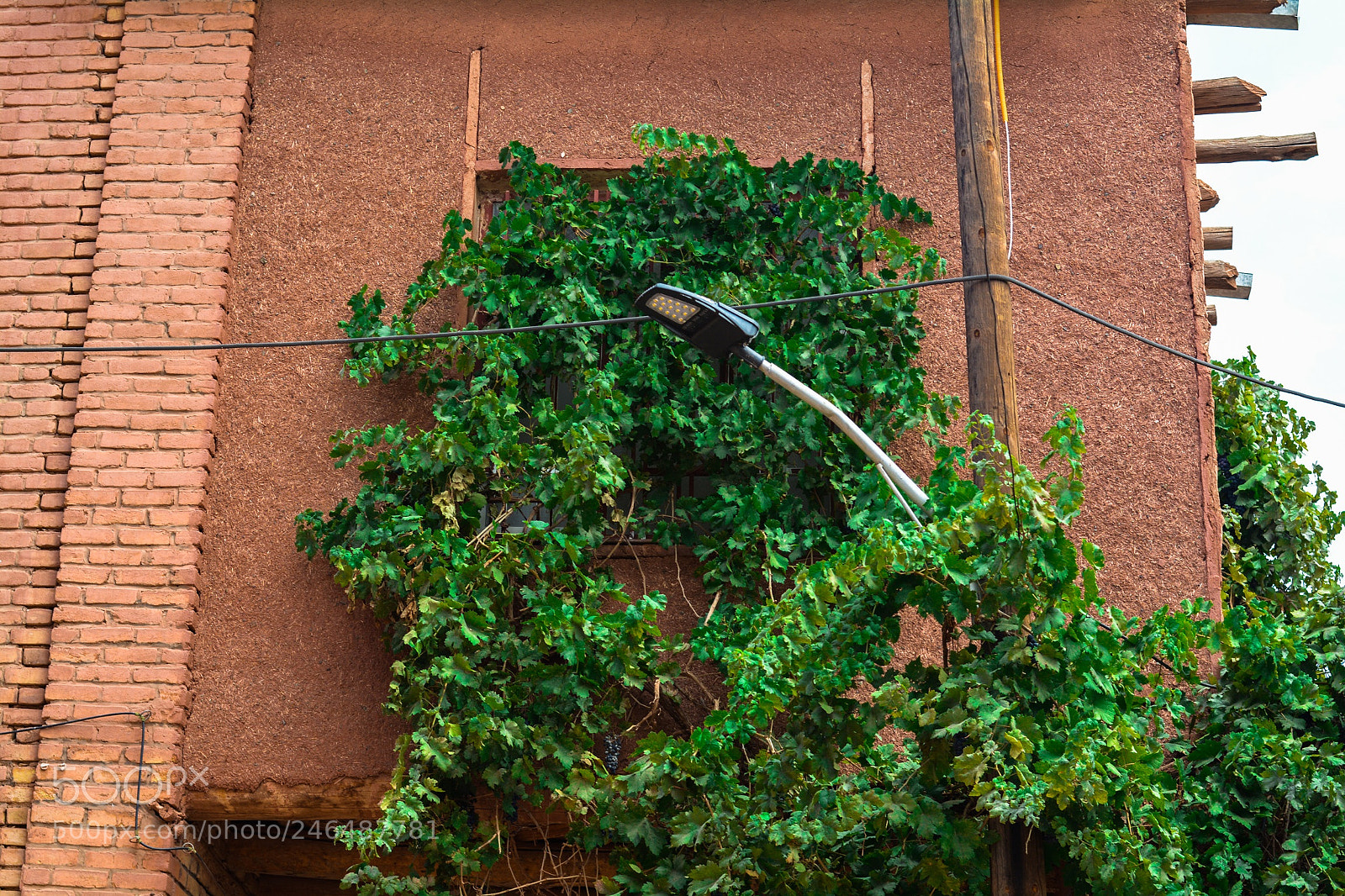 Nikon D7100 sample photo. Untitled photography