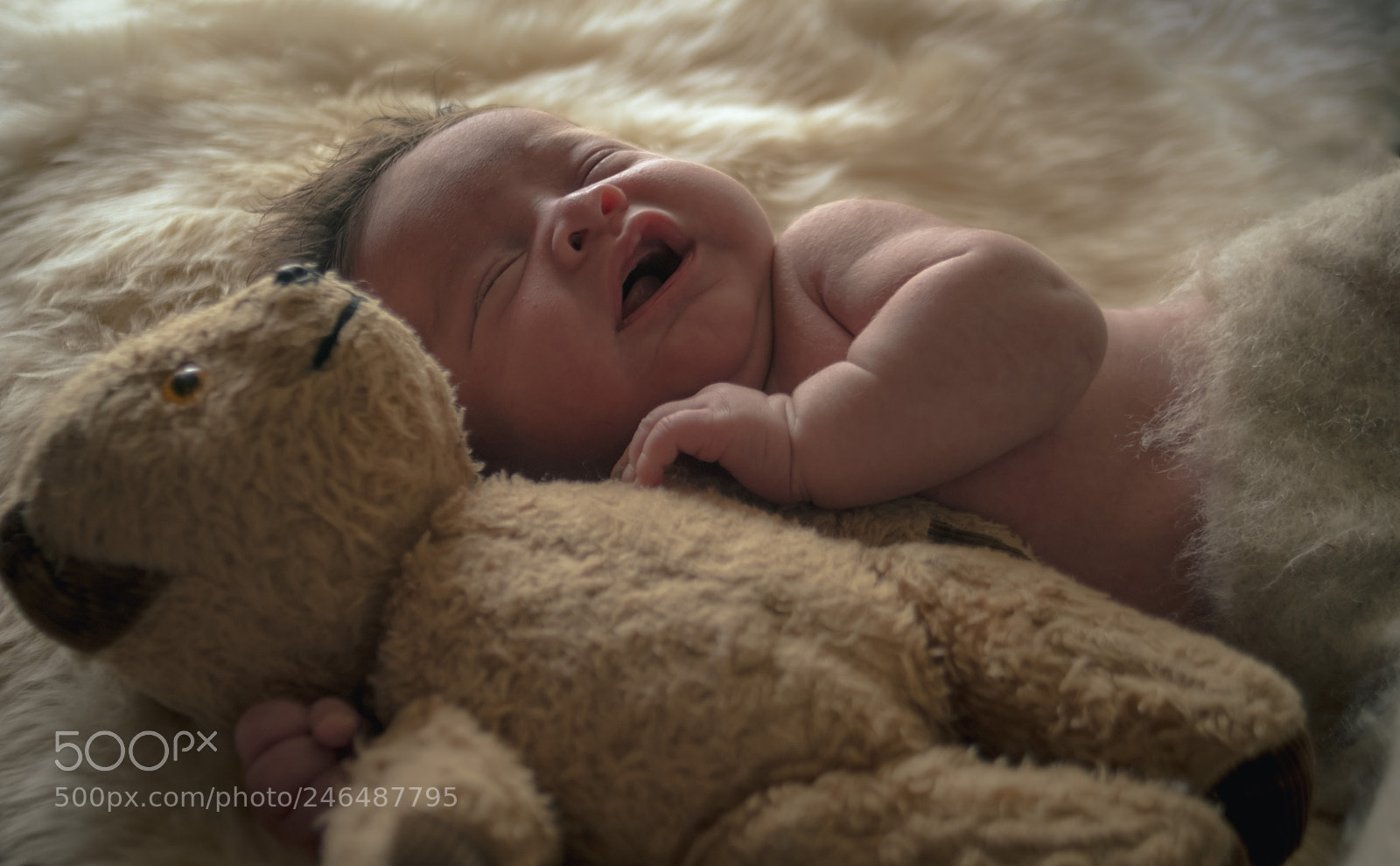 Fujifilm X-T2 sample photo. Eli and ted photography