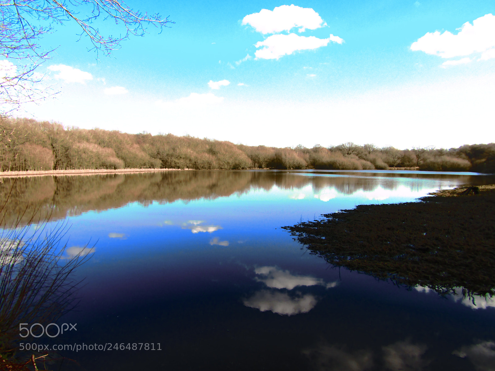 Canon POWERSHOT SX430 IS sample photo. Epsom lake photography
