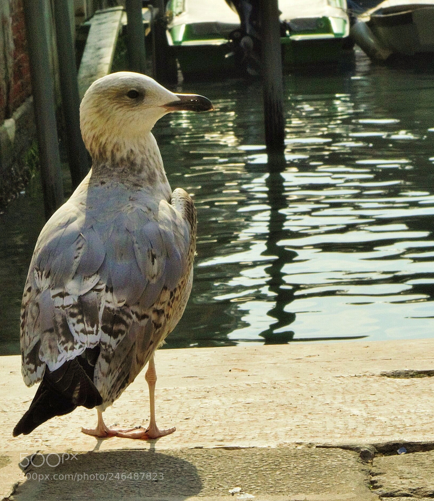Pentax K-500 sample photo. Nature... photography