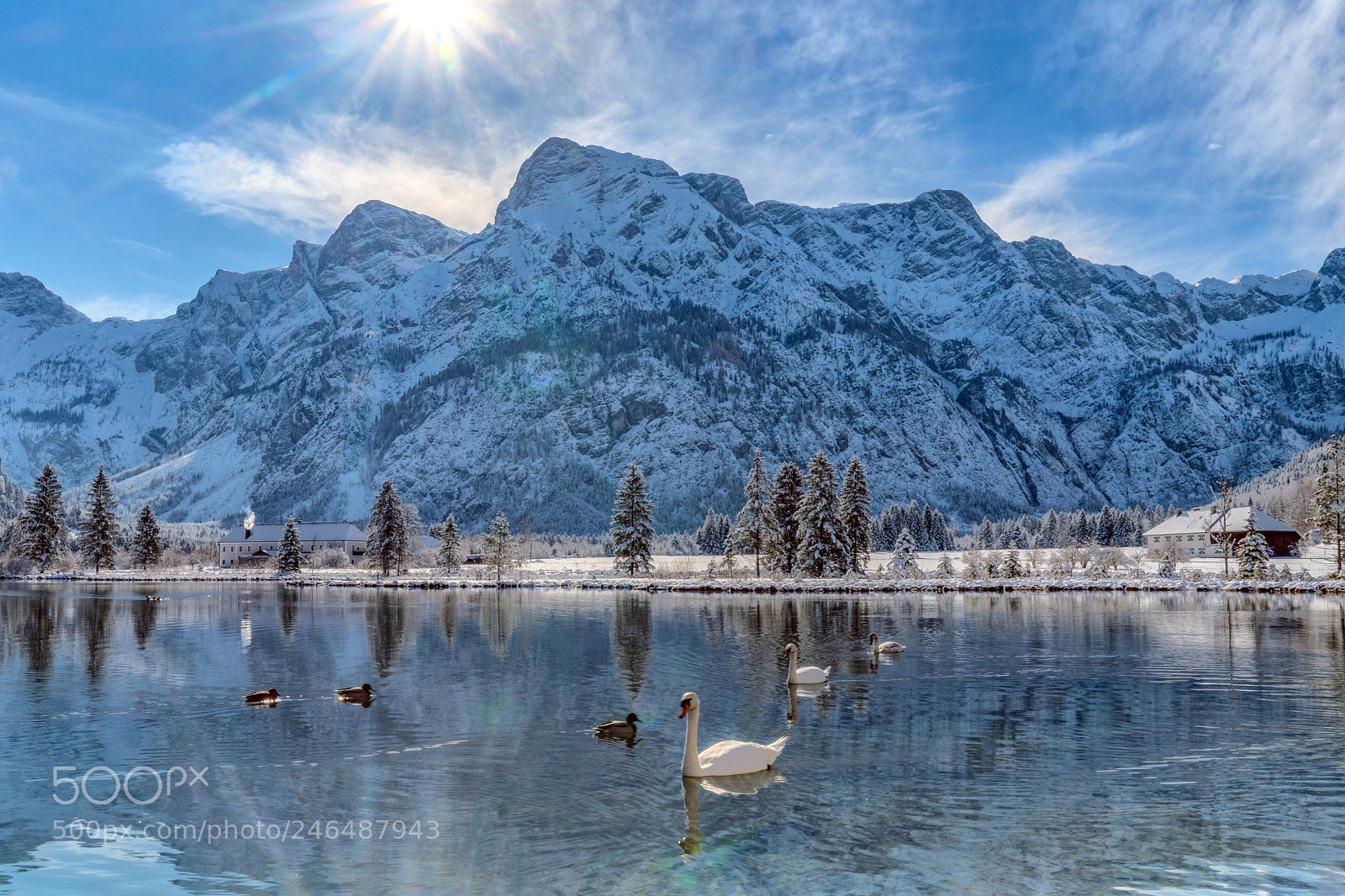 Sony a7R II sample photo. Almsee photography