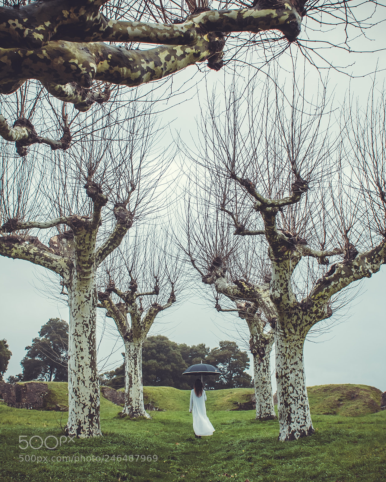 Canon EOS 60D sample photo. White dress in wonderland photography