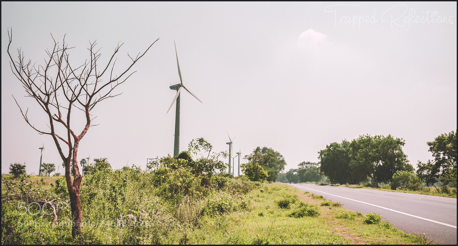 Nikon D7200 sample photo. Drive to munnar udumalai photography