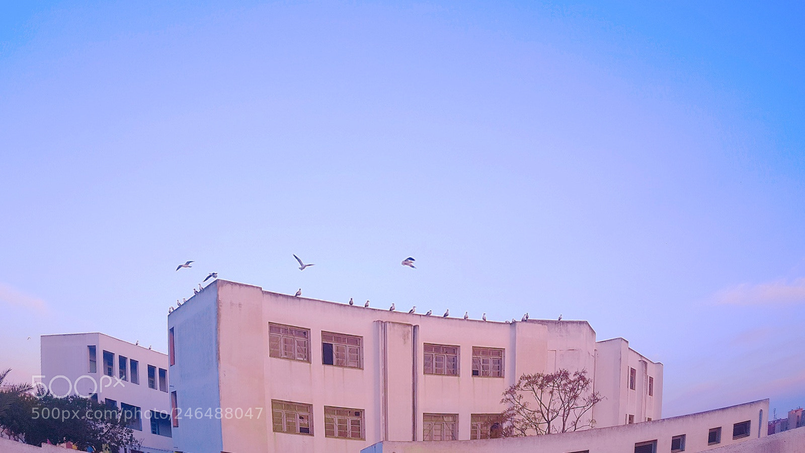 Samsung Galaxy Note5 sample photo. Untitled photography