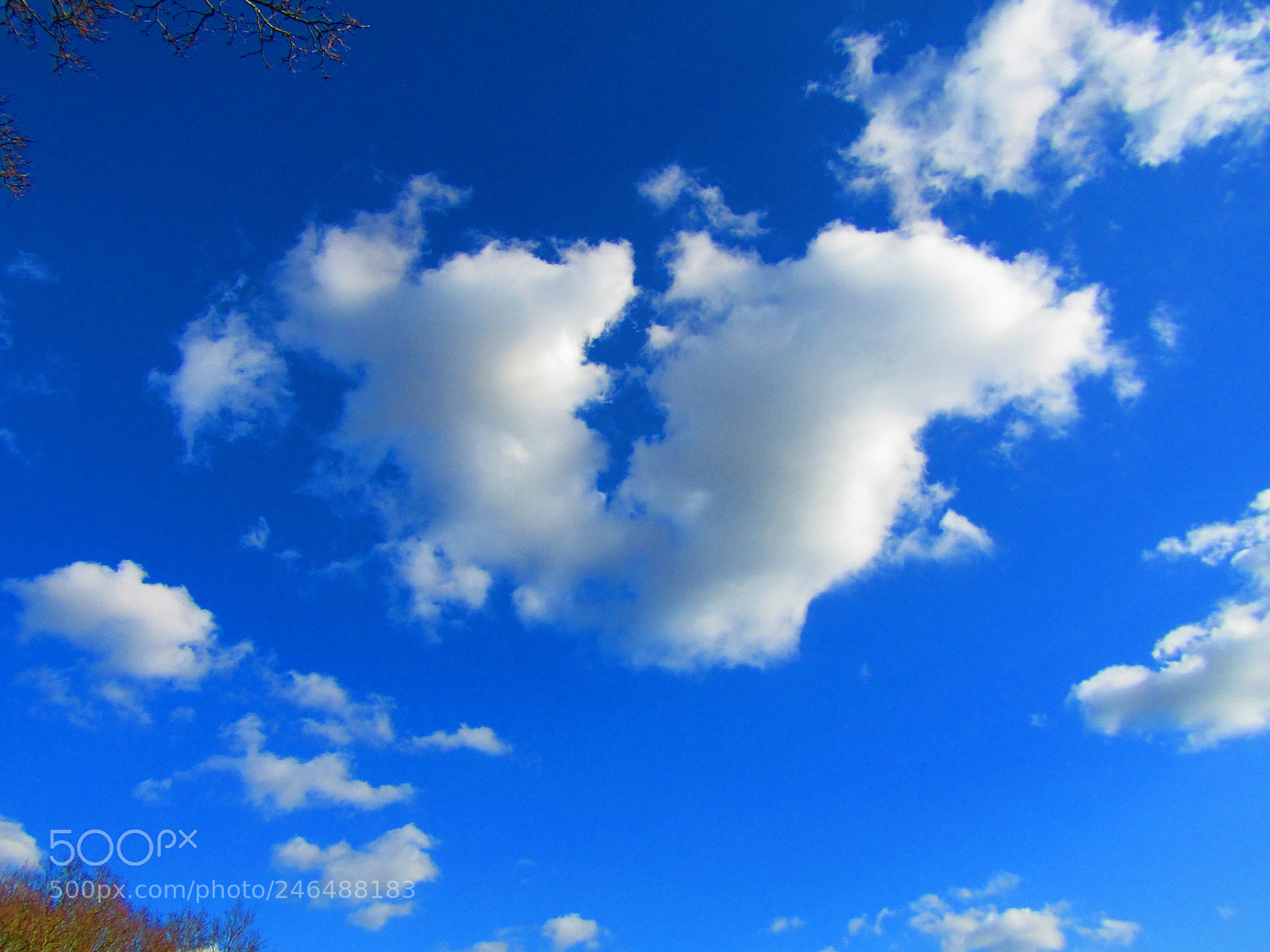 Canon POWERSHOT SX430 IS sample photo. Blue sky photography