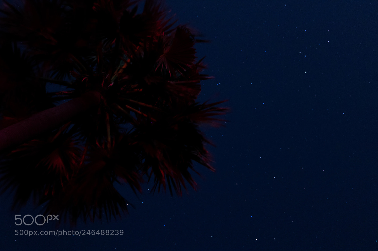 Canon EOS 750D (EOS Rebel T6i / EOS Kiss X8i) sample photo. Blue with a side photography