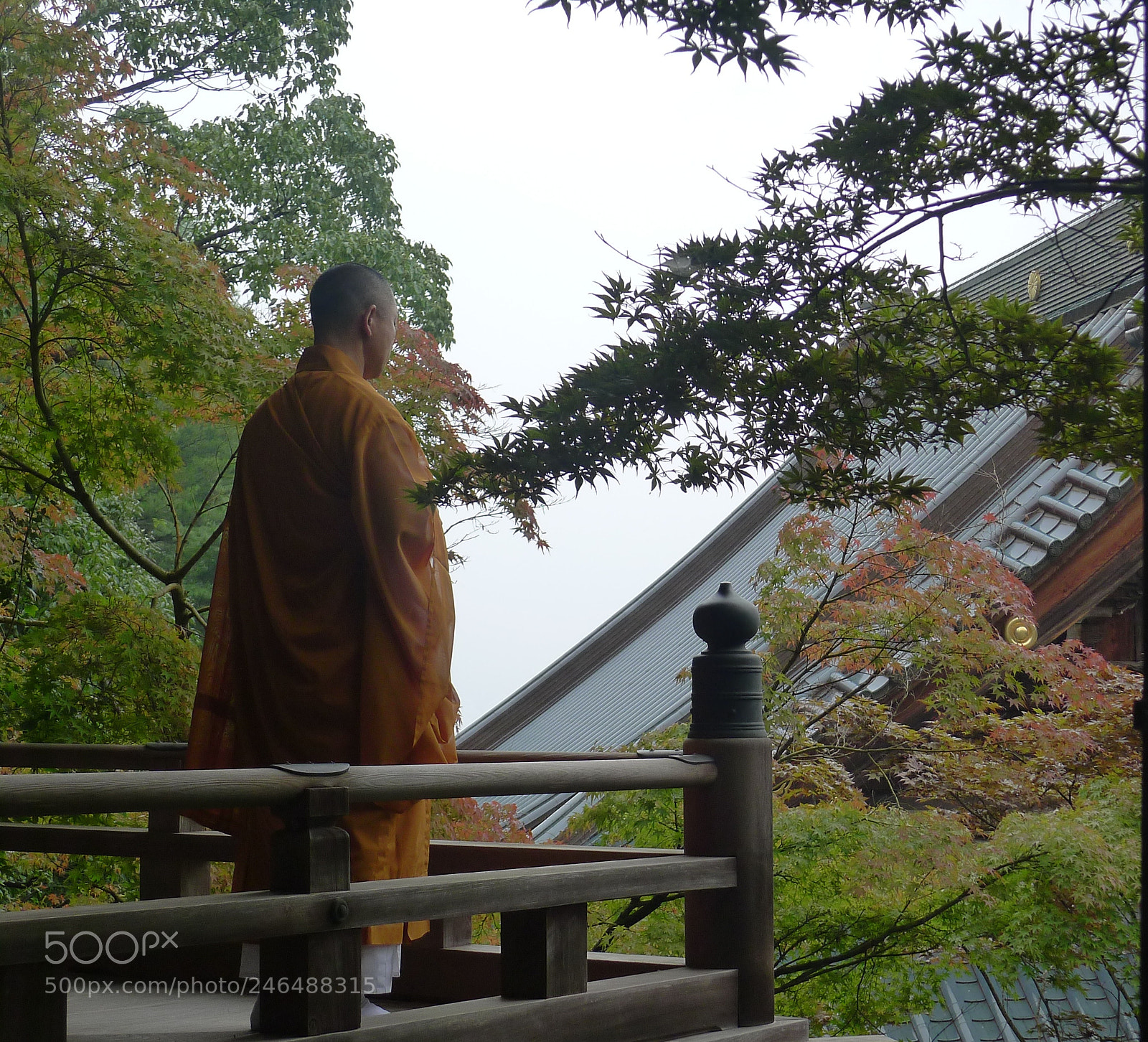 Panasonic Lumix DMC-LX5 sample photo. The look of the photography