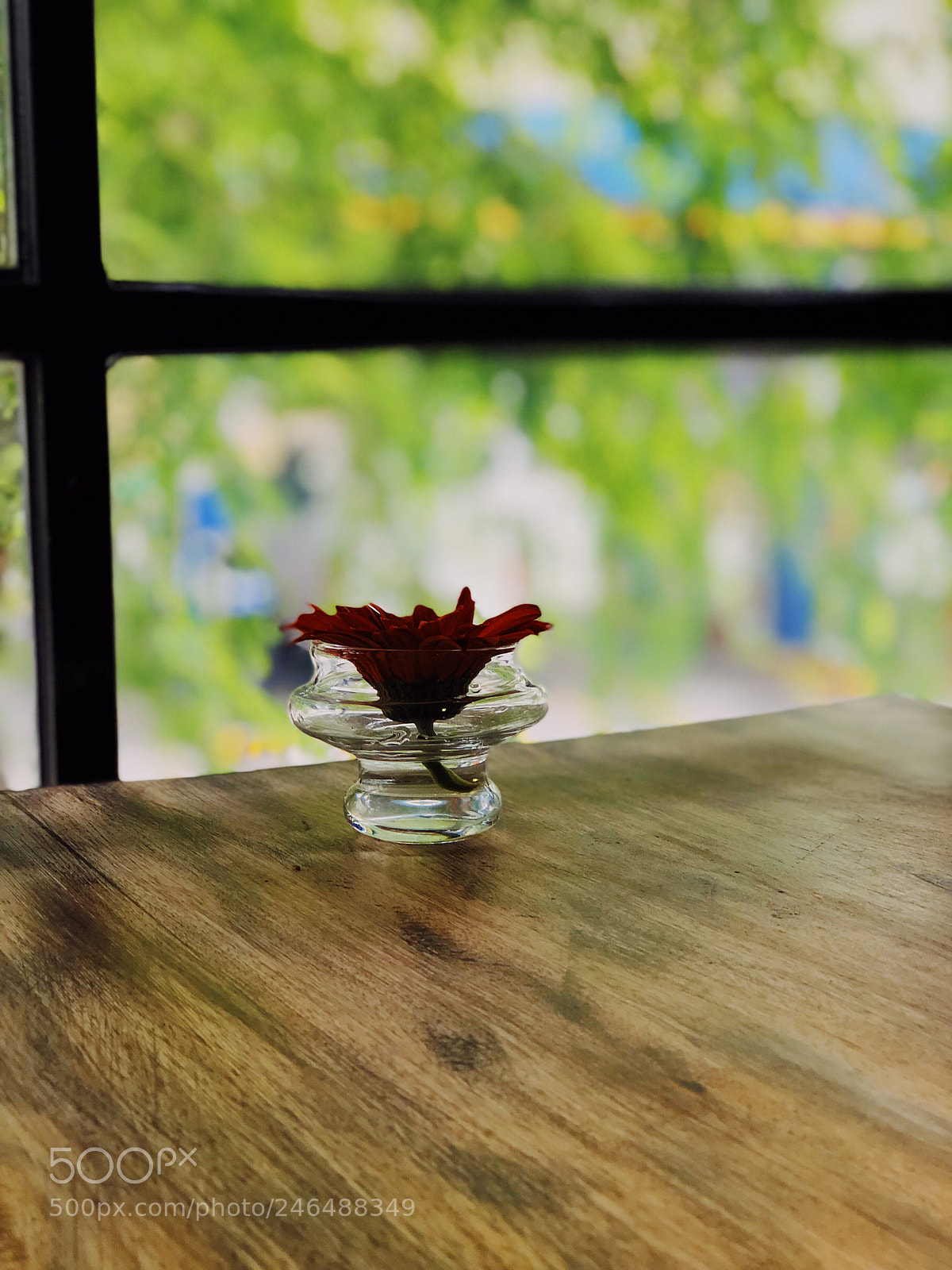 Apple iPhone 8 Plus sample photo. Isn t it a photography