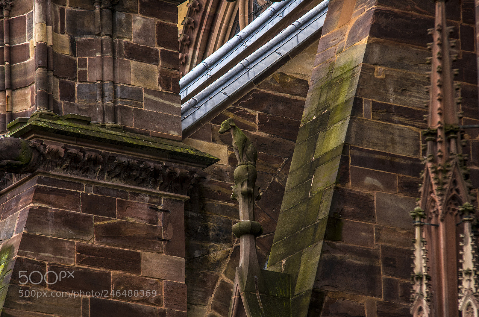 Nikon D500 sample photo. Strasbourg cathedral details photography
