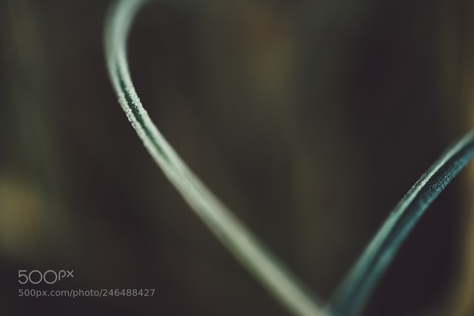 Fujifilm X-T1 sample photo. Heart of nature photography