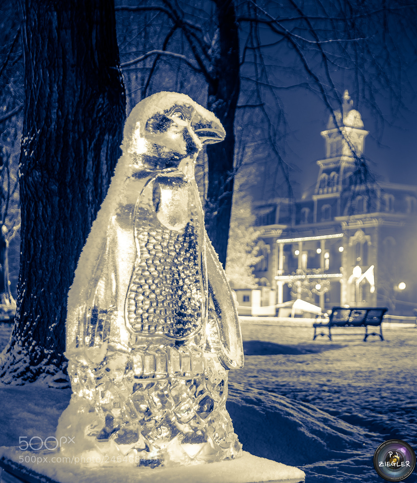 Nikon D500 sample photo. Ice festival photography