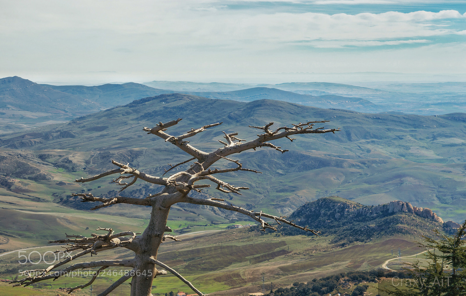 Nikon D3200 sample photo. Standing alone! photography