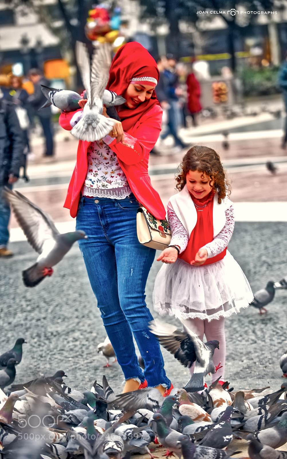 Nikon D810 sample photo. Mama, daughter and pigeons photography