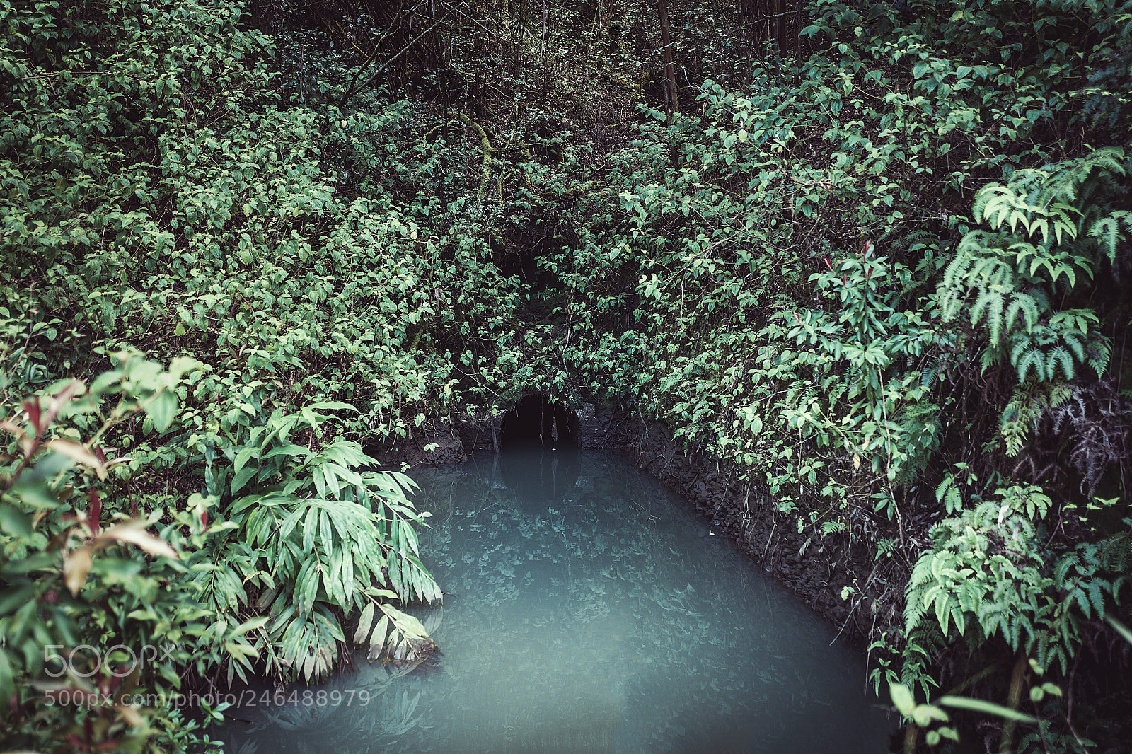 Leica Q (Typ 116) sample photo. Untitled photography