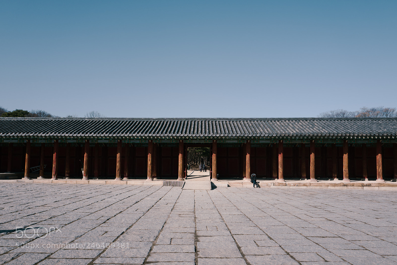 Leica Q (Typ 116) sample photo. Palace photography