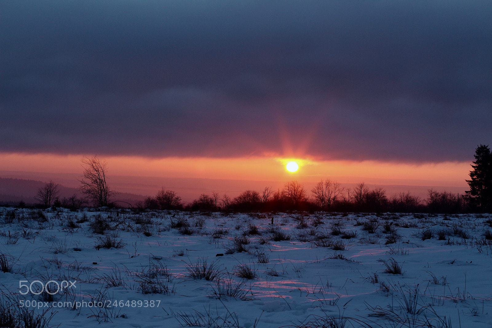 Canon EOS 700D (EOS Rebel T5i / EOS Kiss X7i) sample photo. Snow sunrise signal de photography