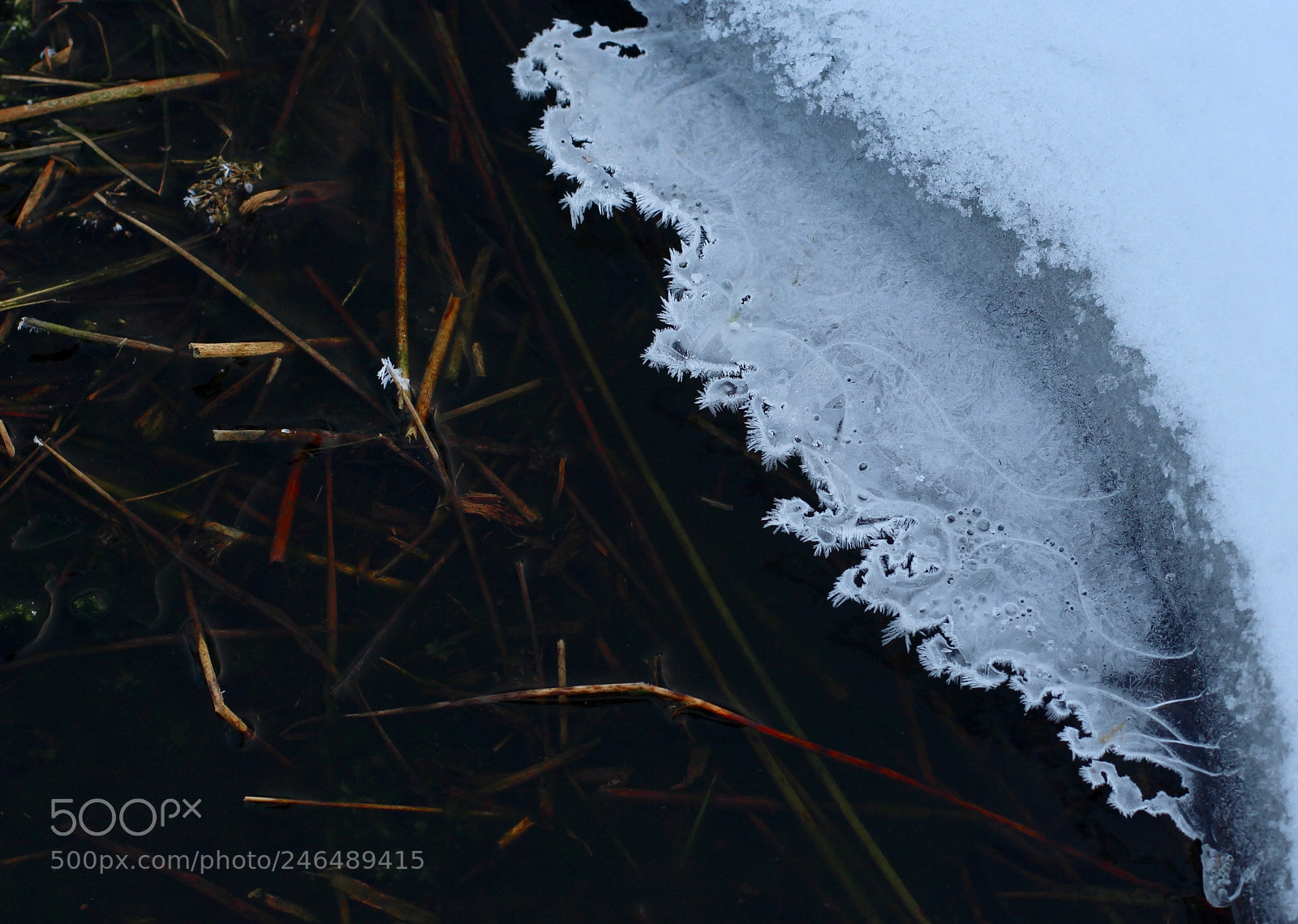 Canon EOS 700D (EOS Rebel T5i / EOS Kiss X7i) sample photo. Snow sunrise signal de photography