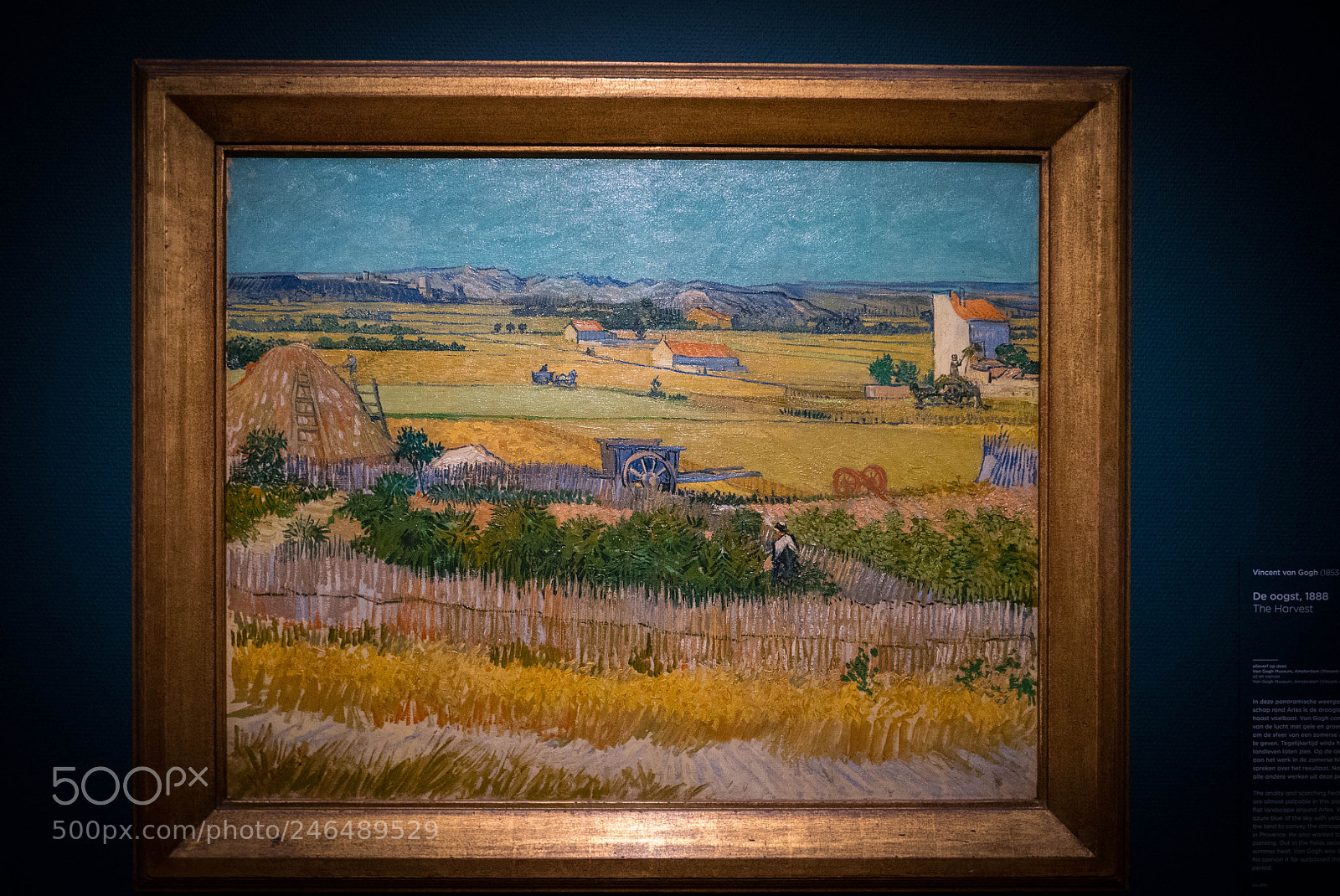 Panasonic Lumix DMC-LX100 sample photo. The harvest vincent van photography