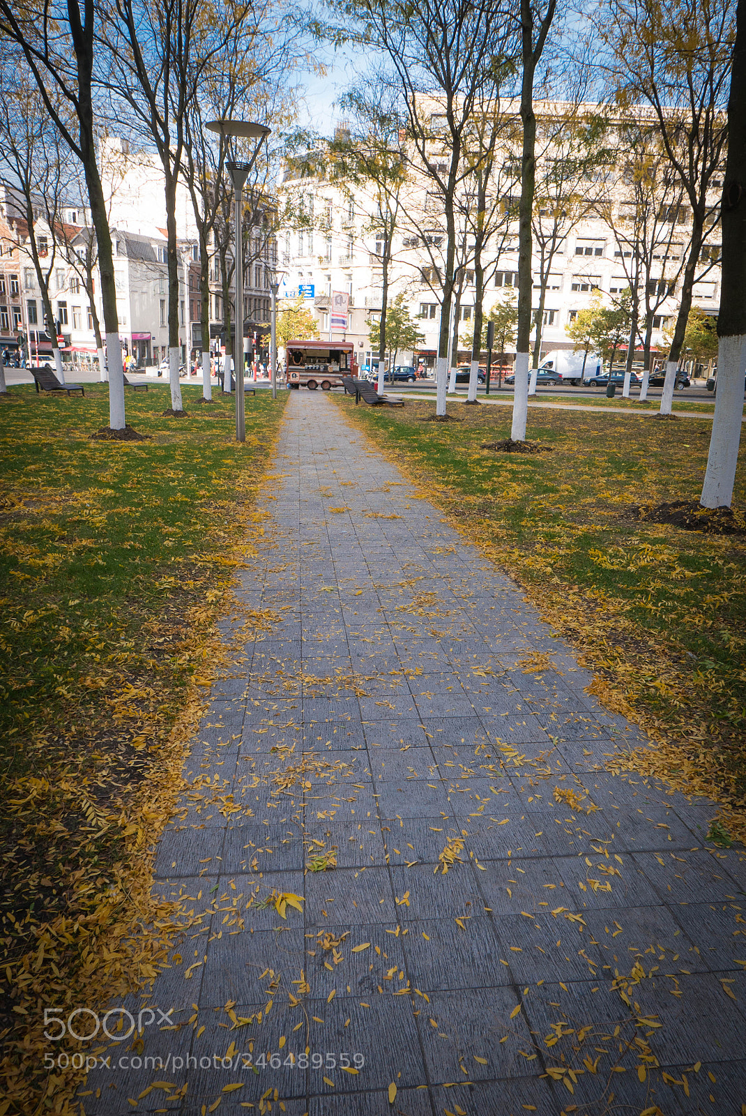 Panasonic Lumix DMC-LX100 sample photo. Park in front cathedral 2 photography